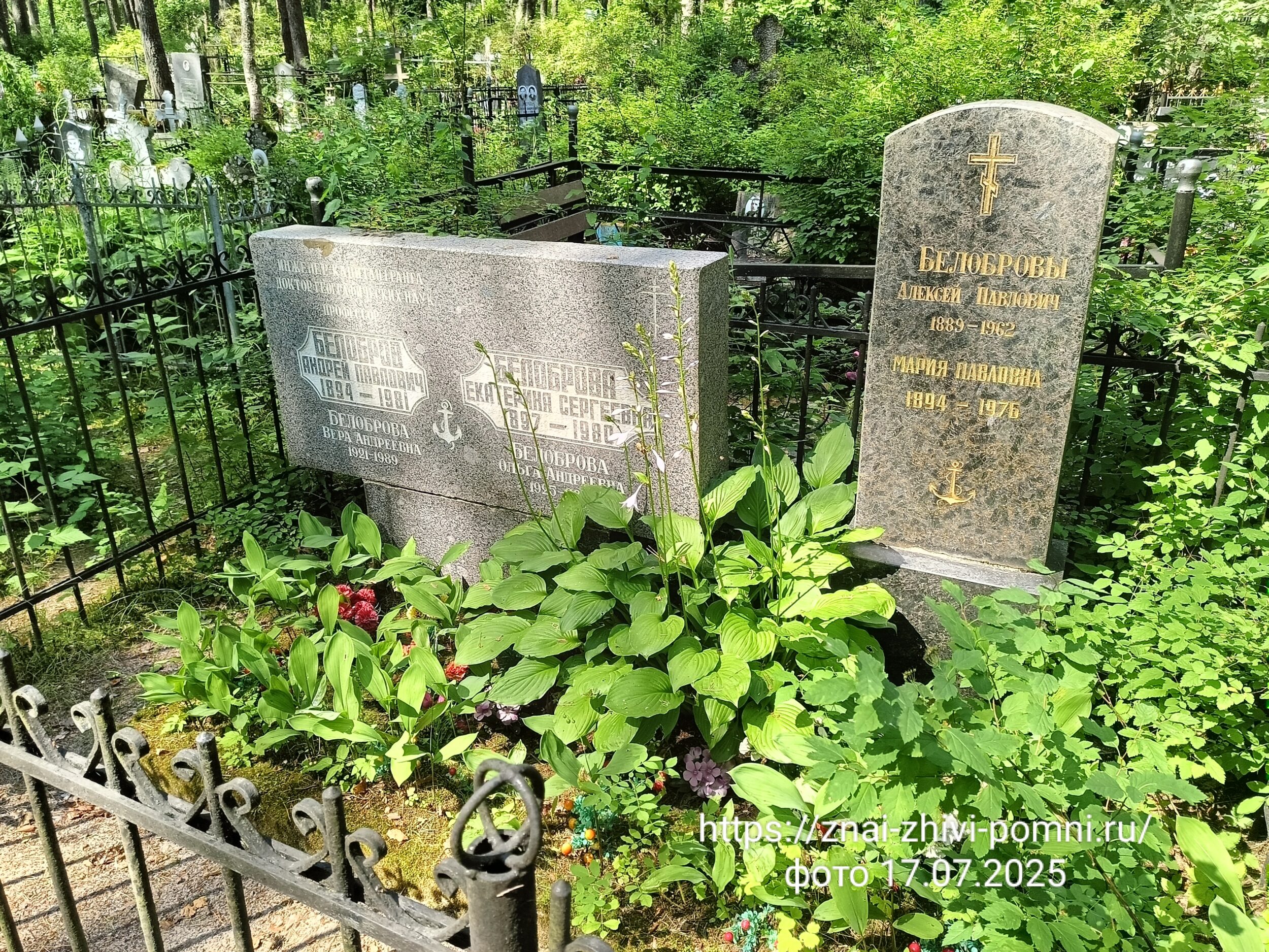 Белобров Андрей