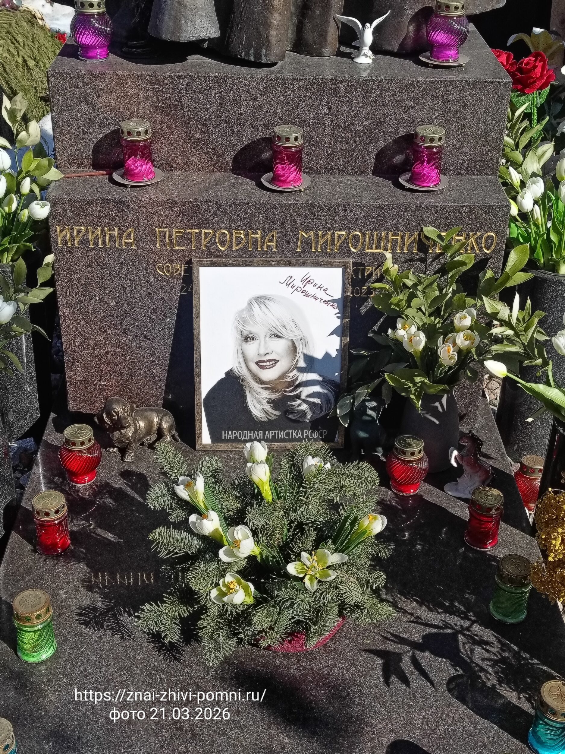 Мирошниченко Ирина