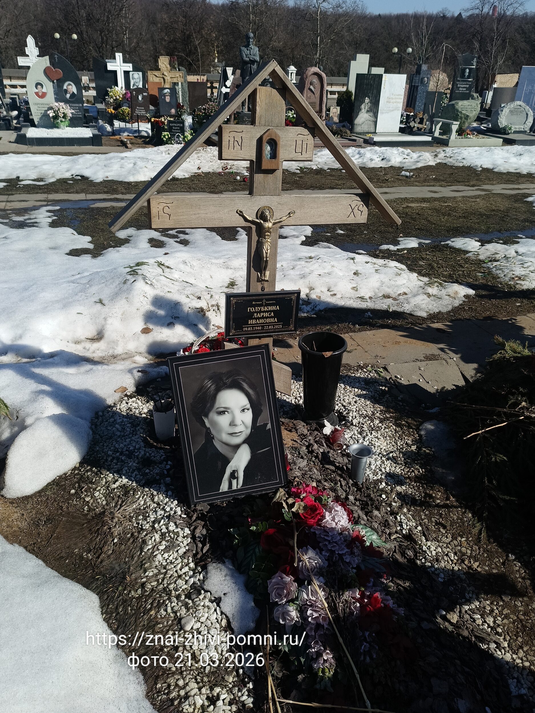 Голубкина Лариса